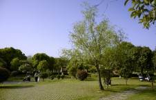 咸嘉湖公园