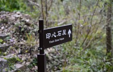 尼康Z63+尼克尔70-200MM小钢炮-岳麓山